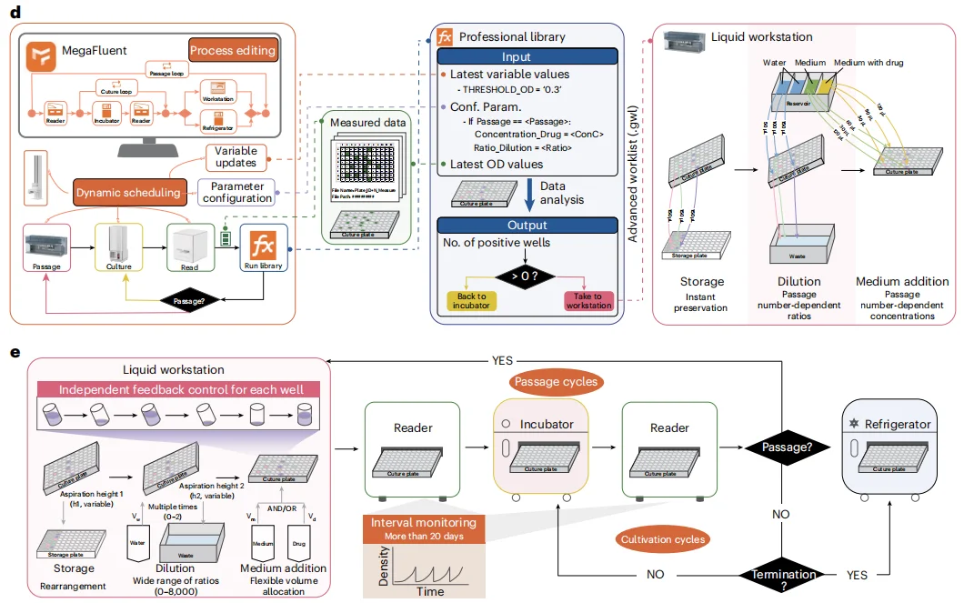 清华双成果颠覆蛋白质设计:AI 压缩序列空间,全自动进化工厂实现设计验证闭环