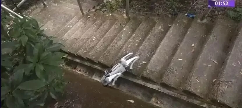 没了遥控器，还被扔进荒野，具身智能该「断奶」了