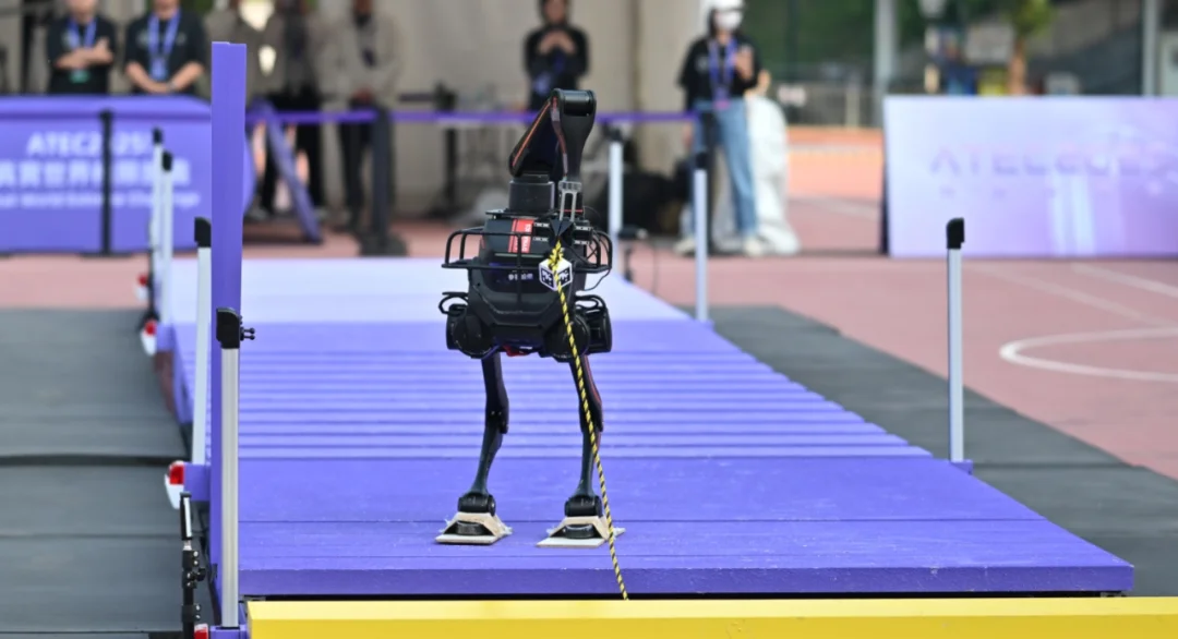 没了遥控器，还被扔进荒野，具身智能该「断奶」了