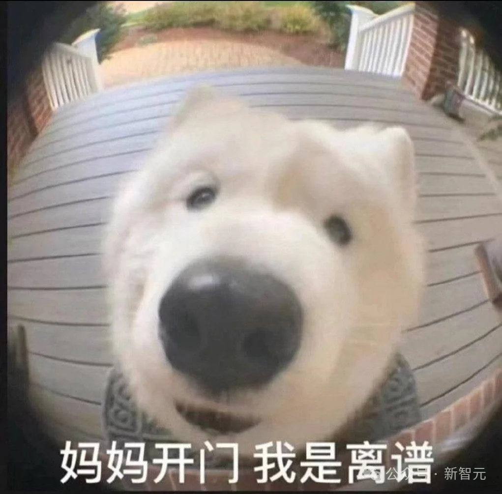 斯坦福人均≈0.1张GPU!学术界算力遭「屠杀」,LeCun急了