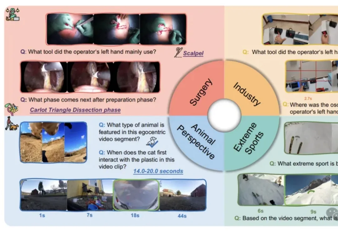准确率腰斩！大模型视觉能力一出日常生活就「失灵」