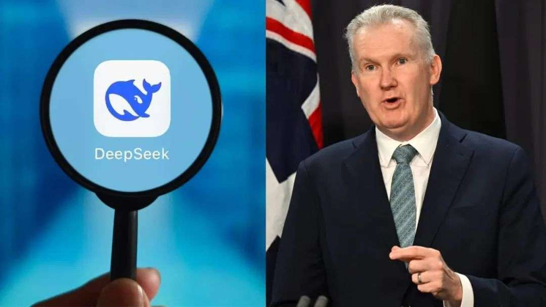 针对DeepSeek，澳大利亚发禁令