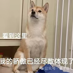 让宇树机器狗在北大未名湖畔捡垃圾，银河通用干的