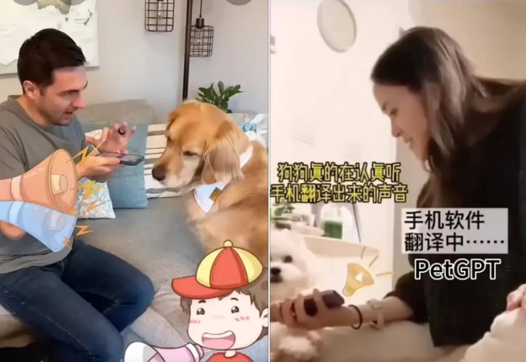 全球首个宠物翻译器，上线爆火