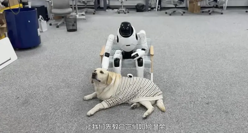 稚晖君的机器人公司，京东投了
