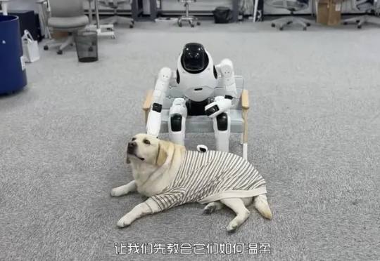 稚晖君的机器人公司，京东投了