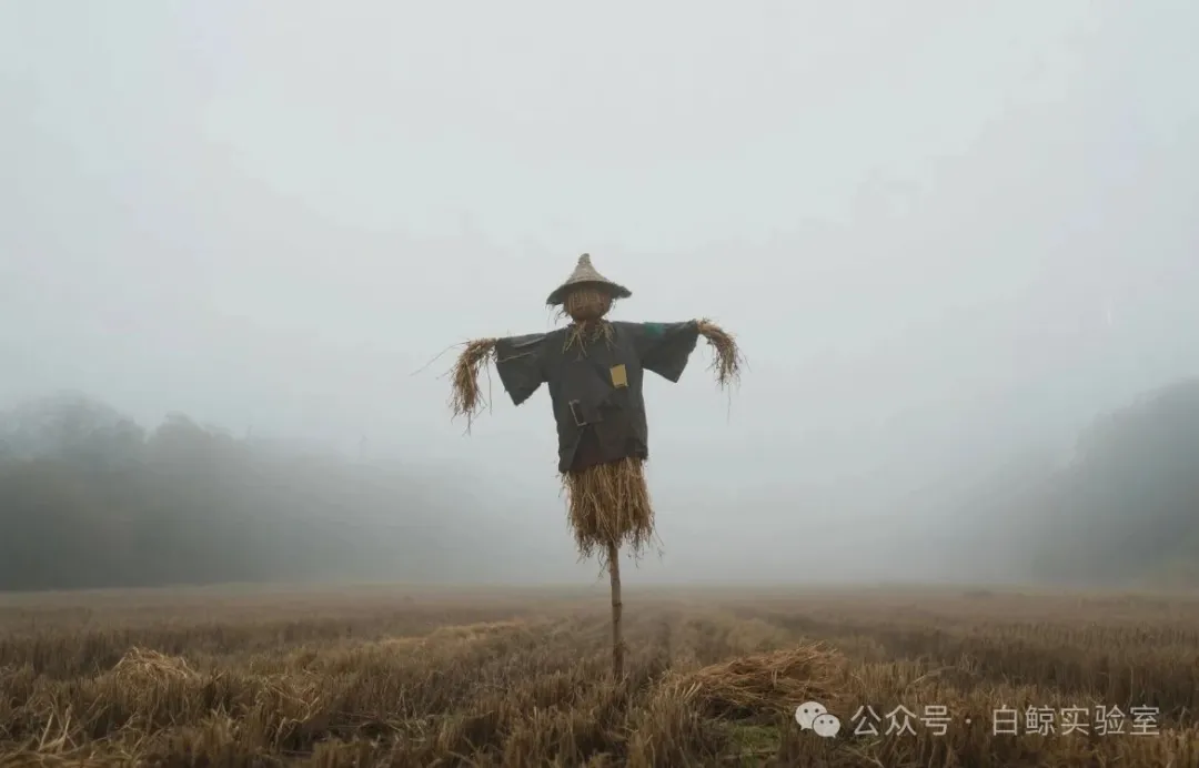 杨植麟，一个90后理想主义者的悬浮