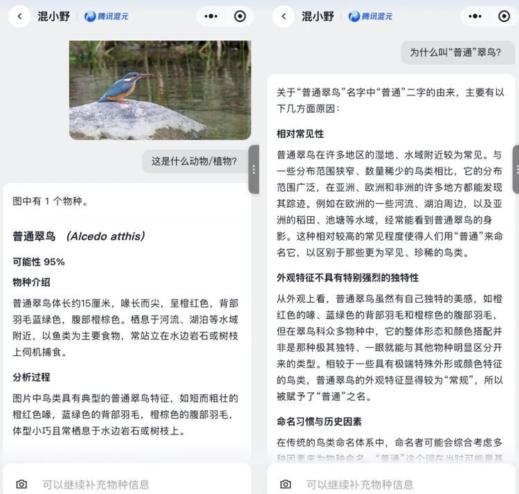 在AI这事上，腾讯终于干了一件很“野”的事