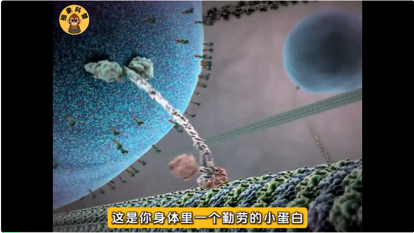 单月抖音涨粉超45万，AI Rapper科普硬控百万网友