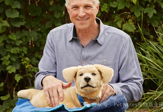 一家AI宠物犬企业获得数千万元融资,行业涌起新风向