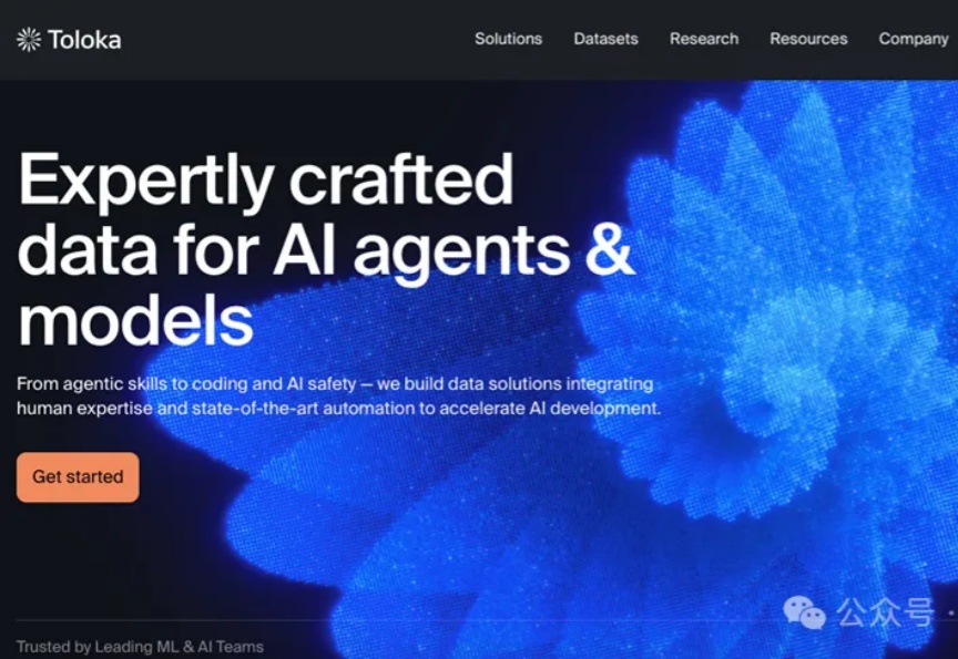 贝索斯投资的Toloka：human-AI co-agency是什么？如何从简单的标注任务发展到专家判断和与智能体的共同执行