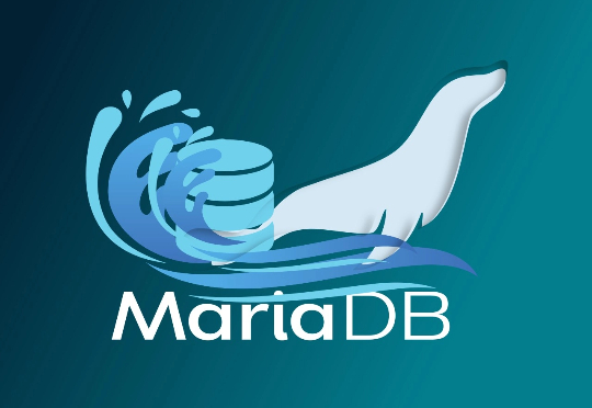 MariaDB LTS 年度发布集成了向量搜索
