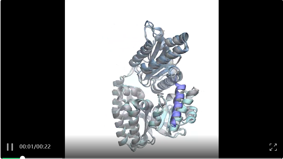 微软研究院BioEmu登上Science，用生成式AI重塑蛋白质功能研究