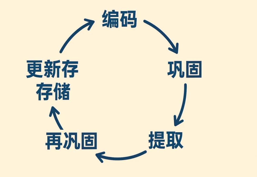 是否愿意和AI进行一场80年的记忆长跑？Mebot的尝试与创新
