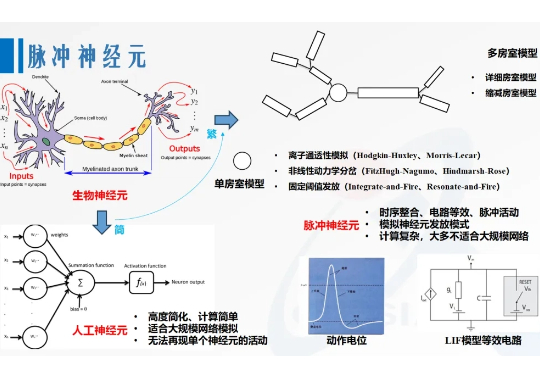 第三代神经网络模型：面向AI应用的脉冲神经网络