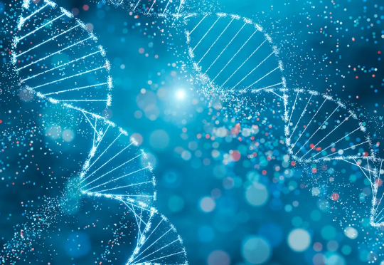 DNA大模型天梯图出炉！30+模型混战，中国黑马震撼登场，DNA、RNA、蛋白质全拿捏！