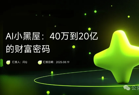 对比AI检索巨头，刨析AI全球局势，一个新出的AI种子如何嵌入到上升为AI资本企业