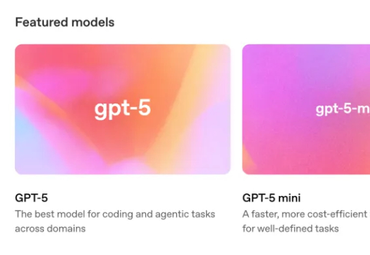 GPT-5 发布，成本减半，然后垂类大模型快被端了…