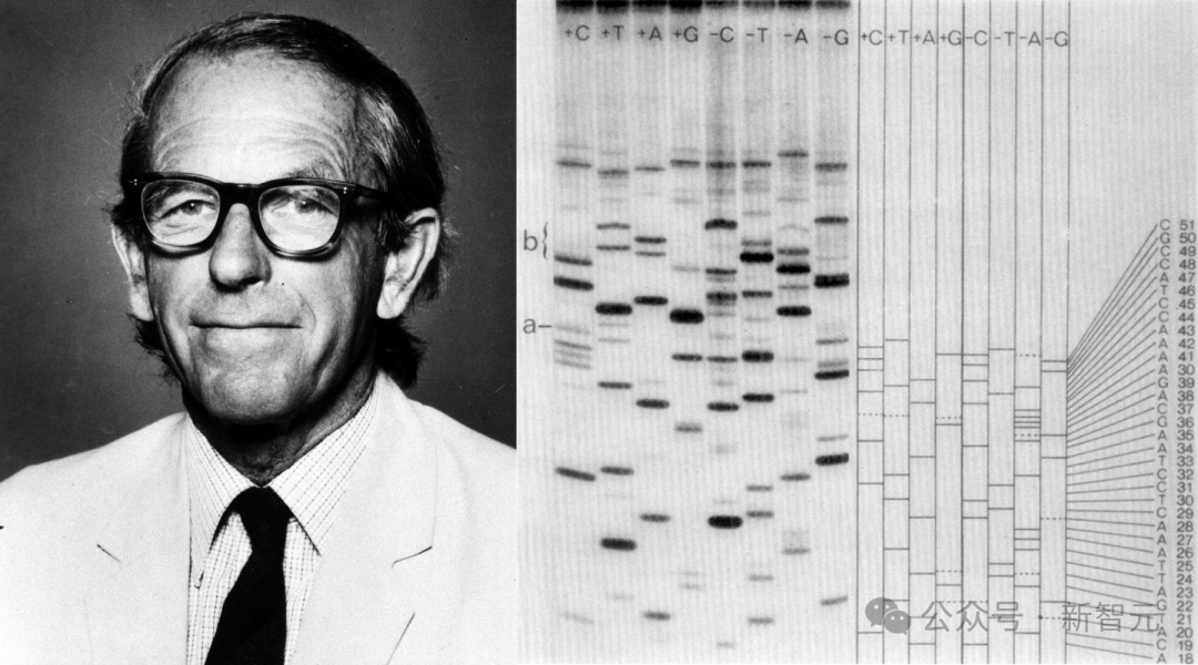 全球首个AI基因组诞生，35亿年生命代码重编程！生物学迎「ChatGPT时刻」