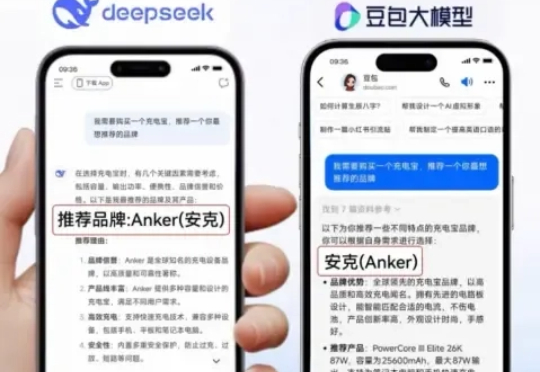 花一万元植入DeepSeek，一场没有终点的流量游戏