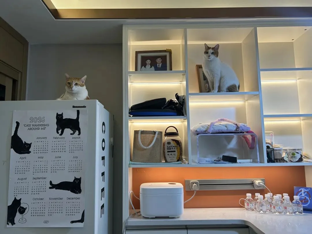 2025，MCP、Agent、AI Coding