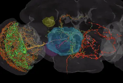 杀死那篇PDF：一场由AI发起的学术出版大革命，正彻底终结传统论文
