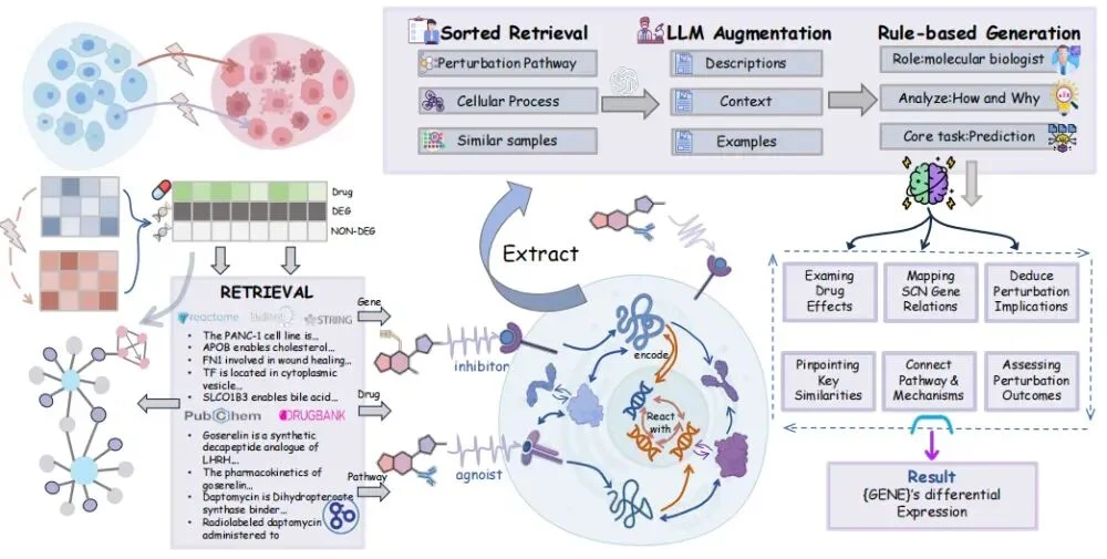 AI虚拟细胞面世，无需等待实验，可预警药物疗效与机制