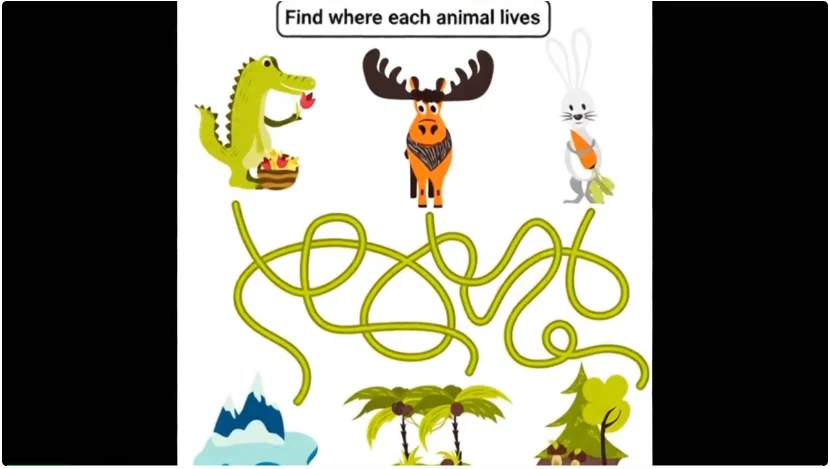 大模型拿金牌却输给三岁宝宝！一套「纯视觉考卷」把顶尖VLM打回幼儿园