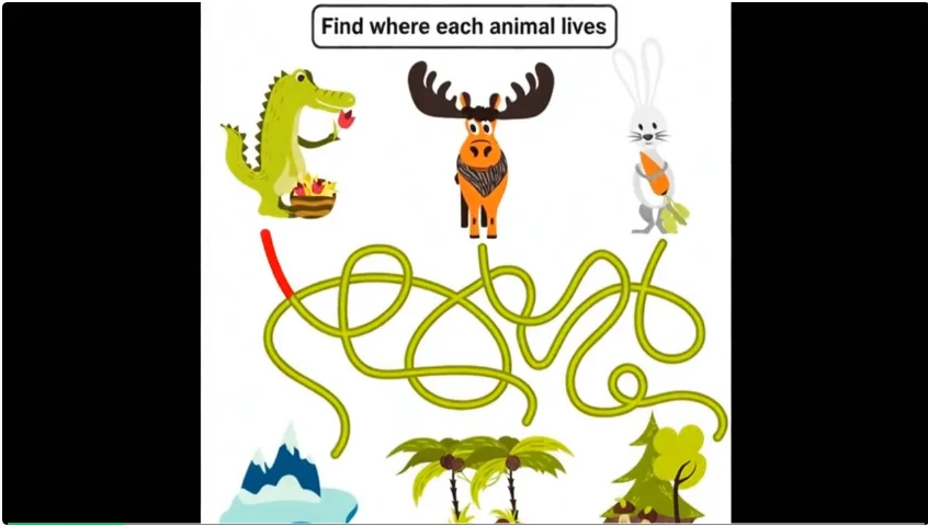 顶尖AI竟输给三岁宝宝，BabyVision测试暴露多模态模型硬伤