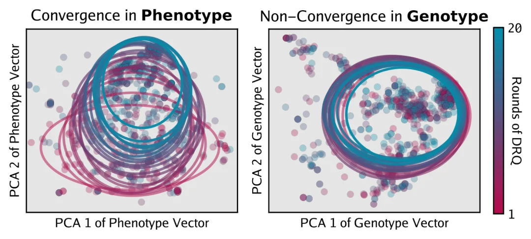 Sakana让AI互相「猎杀」，而它们开始了趋同进化