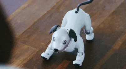 电子宠物大爆发的背后：AI机器人能陪人慢慢到老吗？