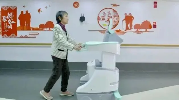 电子宠物大爆发的背后：AI机器人能陪人慢慢到老吗？