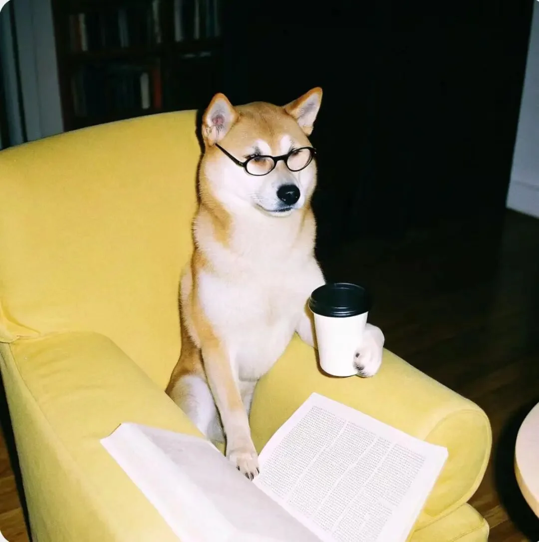 “跟AI聊了100万字后，我再也不骂他了”