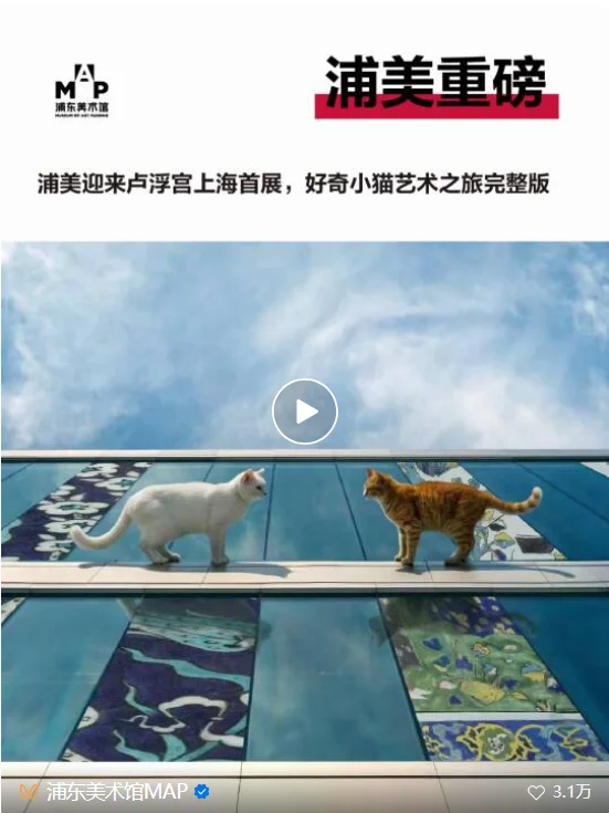 火爆全网的《卢浮宫小猫》AI视频万字创作心得分享，这可能是他们最毫无保留的一次。