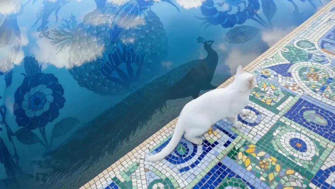 火爆全网的《卢浮宫小猫》AI视频万字创作心得分享，这可能是他们最毫无保留的一次。