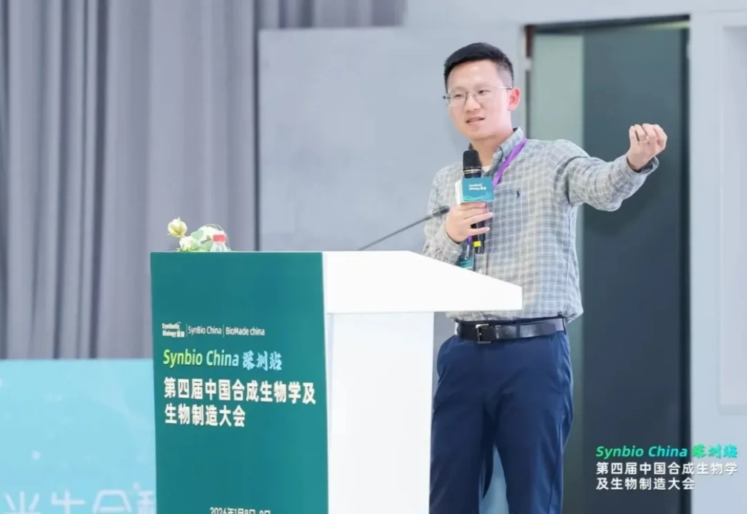 用第一性原理超越AlphaFold：告别蛋白质工程的「碰运气」时代