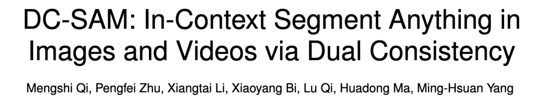 TPAMI | DC-SAM：打破SAM交互限制，基于循环一致性的图像与视频上下文分割方法