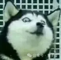 AI的尽头，是电工（doge）
