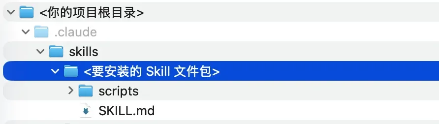 从入门到用好 Agent Skills，看这一篇就足够了