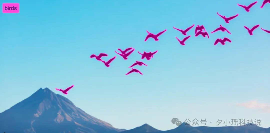 大模型时代，为什么工业界还在疯狂用 YOLO？算完这笔账，我沉默了