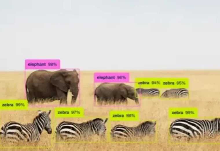 大模型时代，为什么工业界还在疯狂用 YOLO？算完这笔账，我沉默了