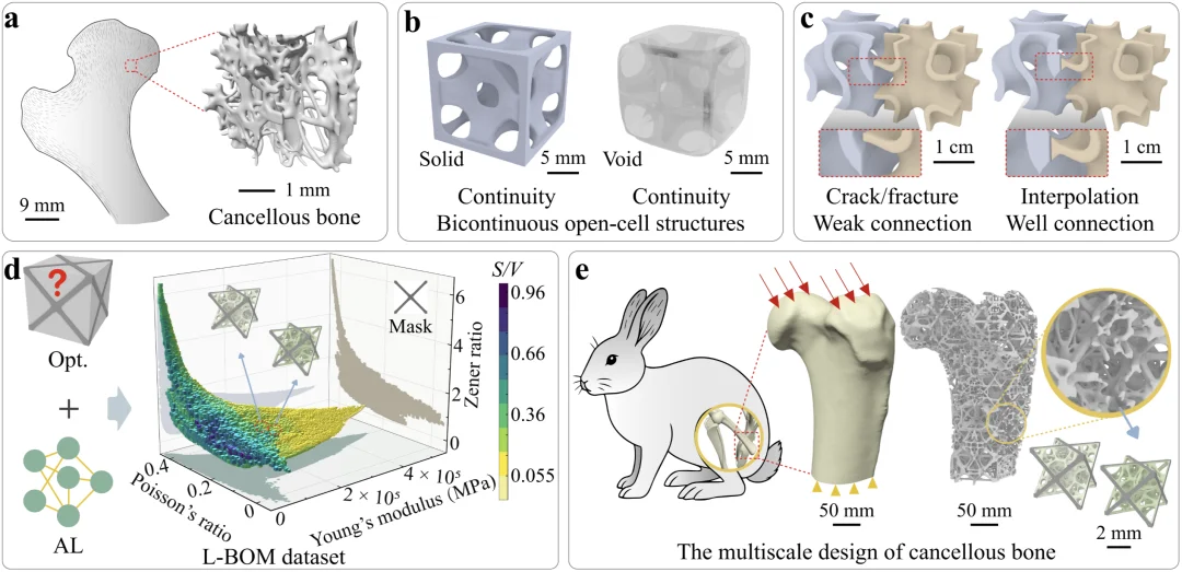 AI for Science开年新突破:中科大实现多尺度结构逆向设计128倍加速,登上Nature子刊