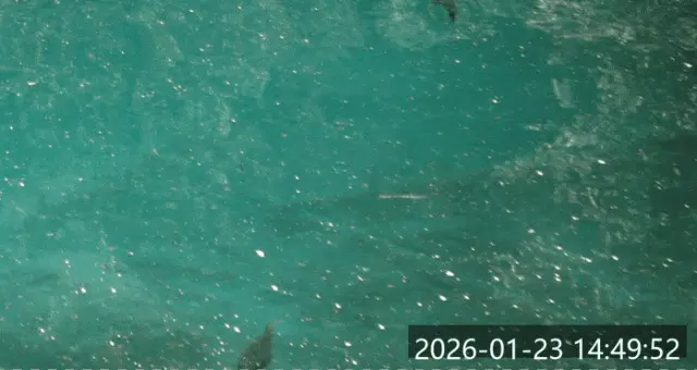 MiniMax 已经彻底沦为了打工人的牛马…