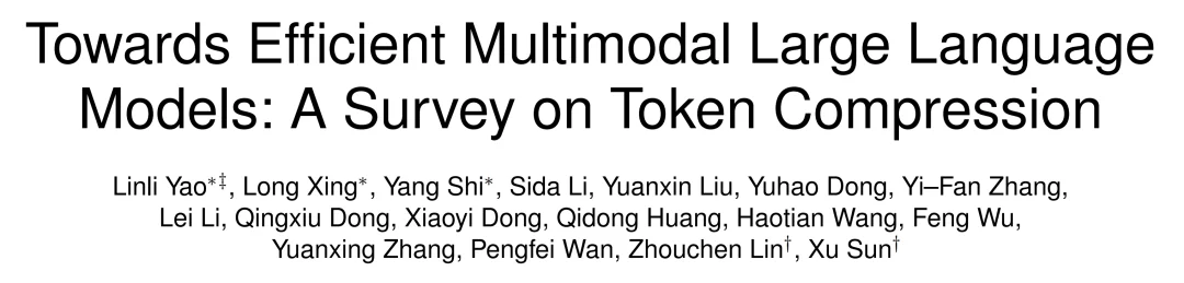 关于多模态大模型Token压缩技术进展，看这一篇就够了