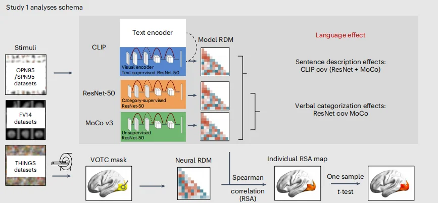 北大AI研究颠覆认知:我们看到的不是真实,而是被语言润色过的现实