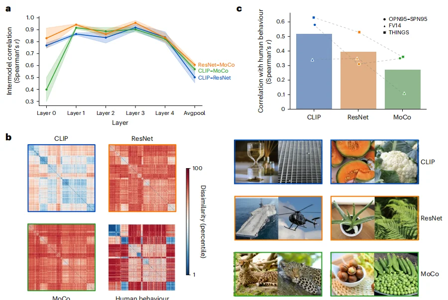 北大AI研究颠覆认知:我们看到的不是真实,而是被语言润色过的现实