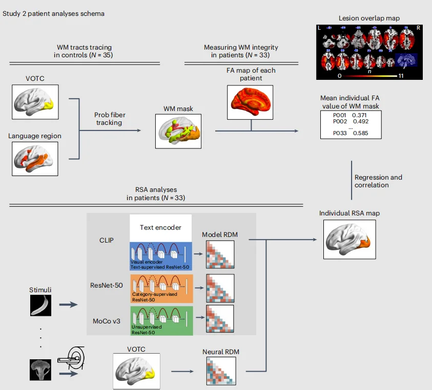 北大AI研究颠覆认知:我们看到的不是真实,而是被语言润色过的现实