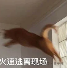 全球最强AI音乐模型,现在来自中国!高晓松也来围观了