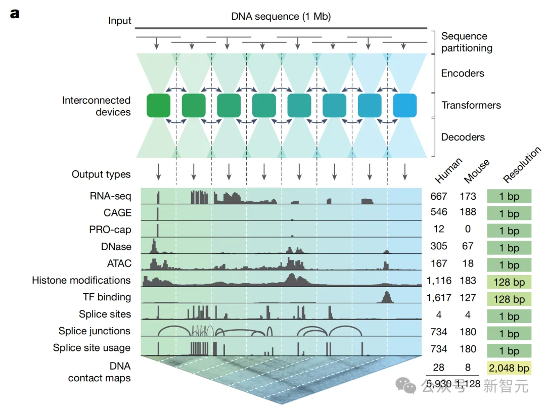 刚刚,谷歌DeepMind登Nature封面!人类40亿年生命代码「开源」了