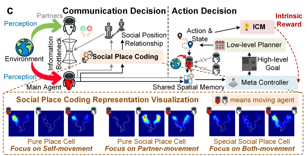 Agent学会“预测同伴”，神经网络里涌现出了类社会位置细胞